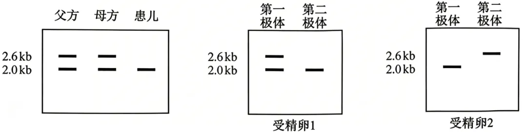 2026年高考安徽卷生物学高考真题-第6张图片-四季读书网 2026年高考安徽卷生物学高考真题-第6张图片-四季读书网