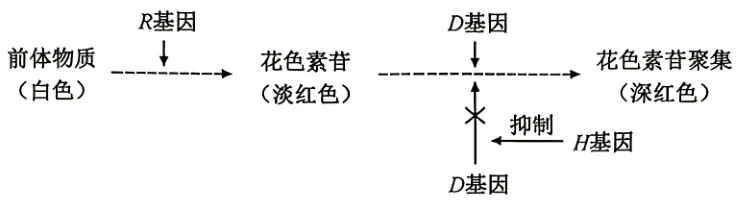 2026年高考安徽卷生物学高考真题-第17张图片-四季读书网 2026年高考安徽卷生物学高考真题-第17张图片-四季读书网