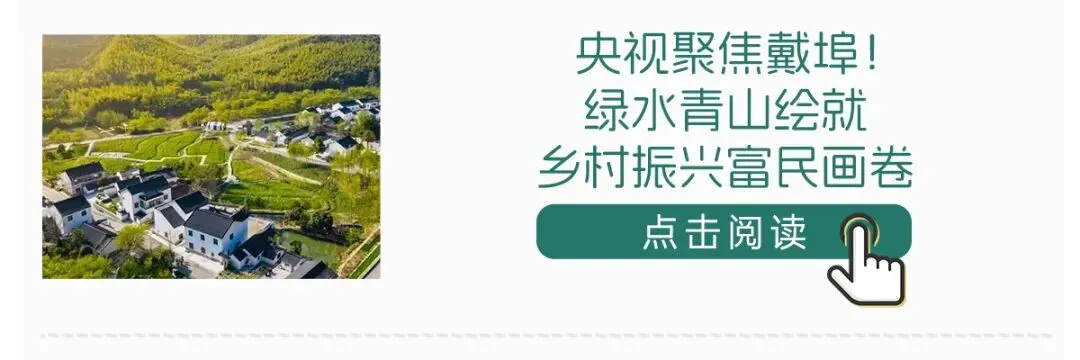戴埠镇召开2026年度中考工作会议-第6张图片-四季读书网 戴埠镇召开2026年度中考工作会议-第6张图片-四季读书网