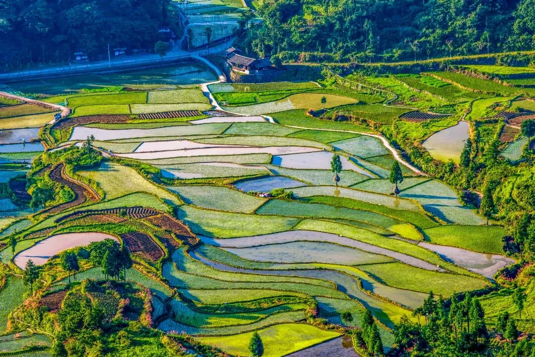 高考试卷里现永嘉元素!从高考语文题看永嘉“出圈”风景-第6张图片-四季读书网 高考试卷里现永嘉元素!从高考语文题看永嘉“出圈”风景-第6张图片-四季读书网