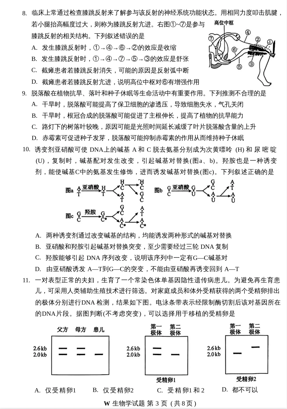 高考真题:2026年全国高考真题(语、数、物、化、生)答案最新汇总(较全、较完整,仅供参考)-第77张图片-四季读书网