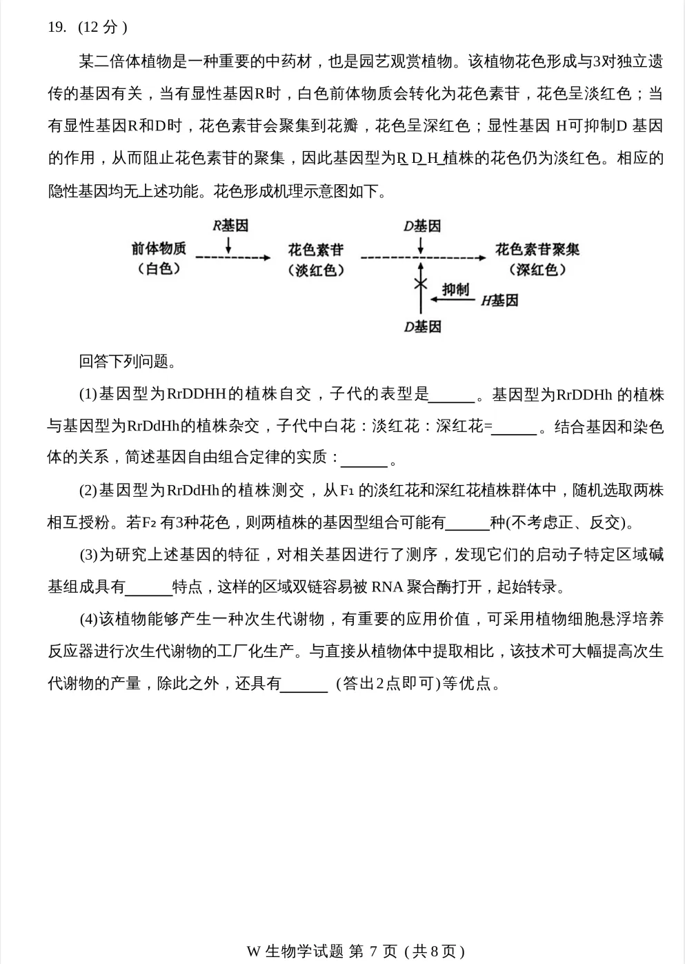 高考真题:2026年全国高考真题(语、数、物、化、生)答案最新汇总(较全、较完整,仅供参考)-第81张图片-四季读书网