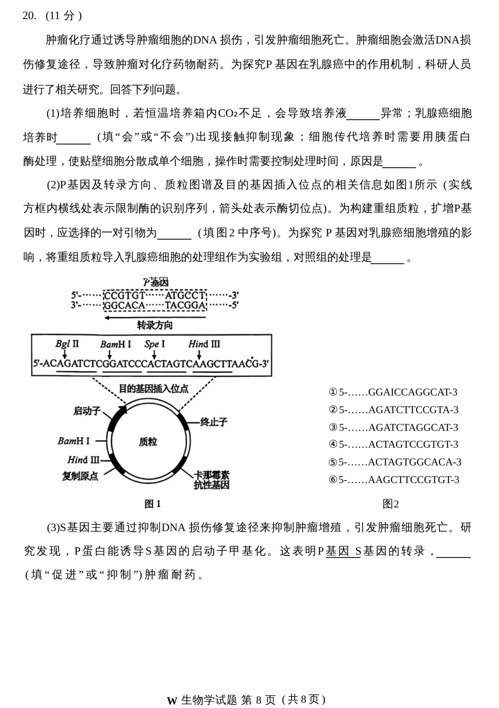 高考真题:2026年全国高考真题(语、数、物、化、生)答案最新汇总(较全、较完整,仅供参考)-第82张图片-四季读书网