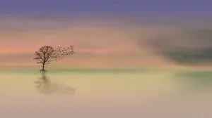 若干年后,我才明白高考那张试卷真正考的是什么-第2张图片-四季读书网 若干年后,我才明白高考那张试卷真正考的是什么-第2张图片-四季读书网