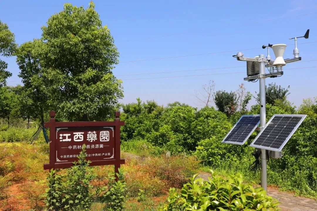 热点!宜春樟树一地入选高考试卷-第14张图片-四季读书网 热点!宜春樟树一地入选高考试卷-第14张图片-四季读书网