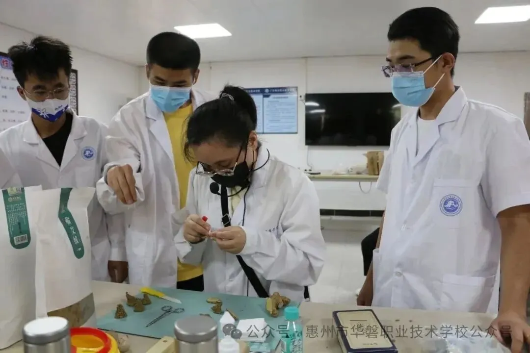 中考志愿指南 | 惠州市华磐职业技术学校 2026招生简章【自主招生】-第45张图片-四季读书网 中考志愿指南 | 惠州市华磐职业技术学校 2026招生简章【自主招生】-第45张图片-四季读书网