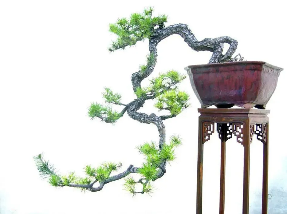 苏轼诗歌,亮相高考试卷(二)-第1张图片-四季读书网 苏轼诗歌,亮相高考试卷(二)-第1张图片-四季读书网