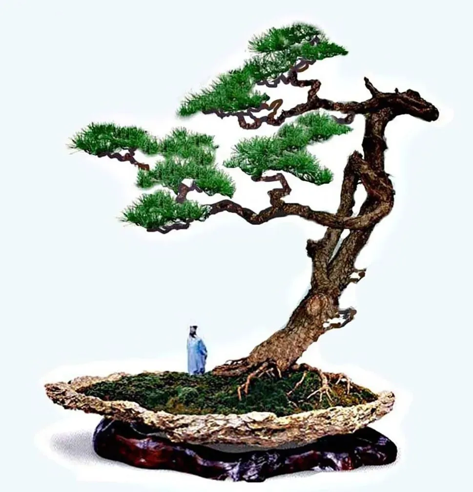 苏轼诗歌,亮相高考试卷(二)-第3张图片-四季读书网 苏轼诗歌,亮相高考试卷(二)-第3张图片-四季读书网