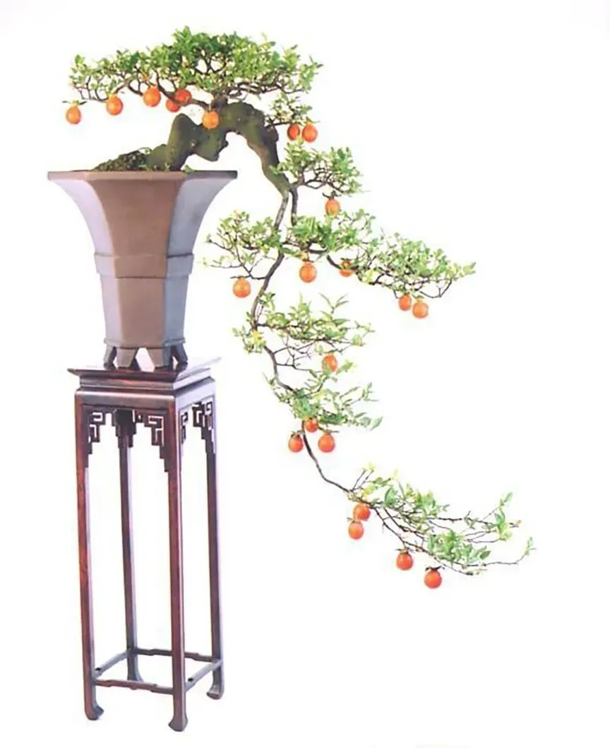 苏轼诗歌,亮相高考试卷(二)-第4张图片-四季读书网 苏轼诗歌,亮相高考试卷(二)-第4张图片-四季读书网