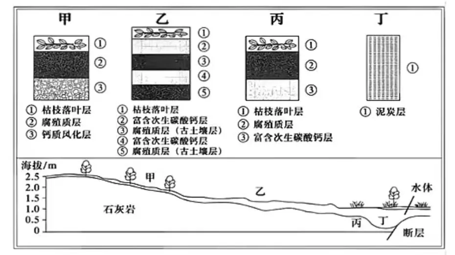 2026年·山东卷·高考地理真题及选择题参考答案——趁热食用~-第5张图片-四季读书网