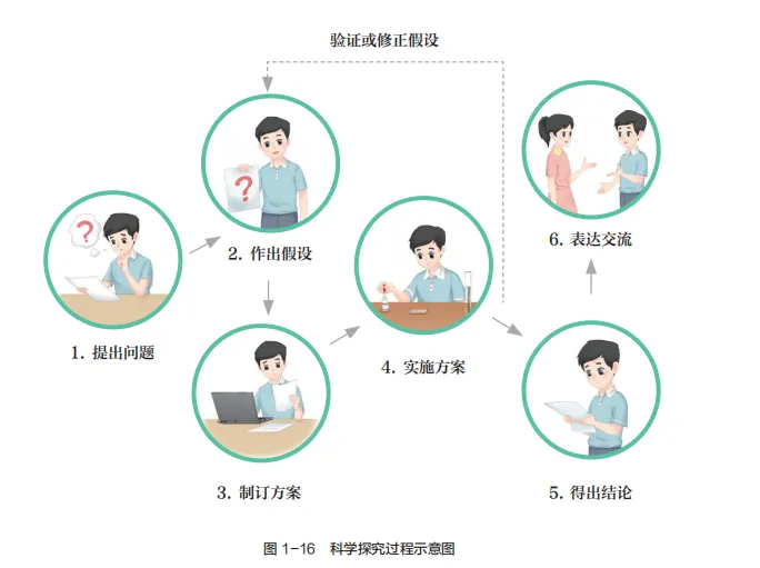 中考复习重点图:苏科版初中生物学七上重点图-第5张图片-四季读书网