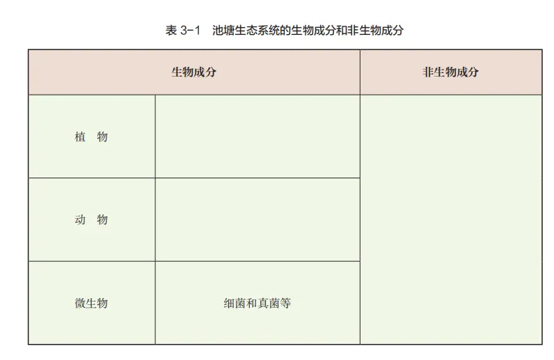 中考复习重点图:苏科版初中生物学七上重点图-第9张图片-四季读书网