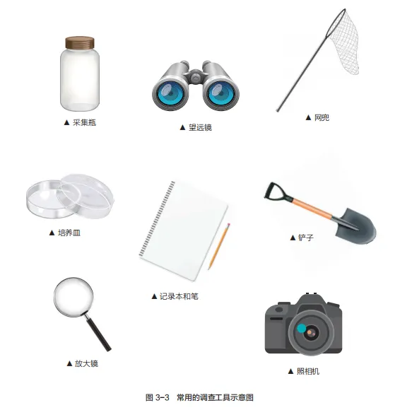 中考复习重点图:苏科版初中生物学七上重点图-第10张图片-四季读书网