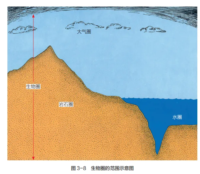 中考复习重点图:苏科版初中生物学七上重点图-第11张图片-四季读书网