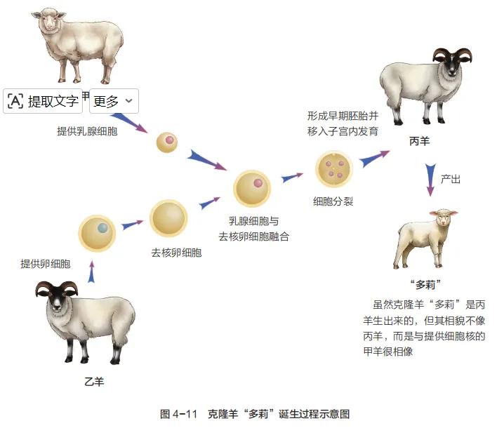 中考复习重点图:苏科版初中生物学七上重点图-第19张图片-四季读书网