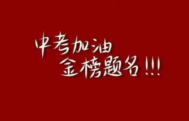 中考加油!数学干活13-第16张图片-四季读书网