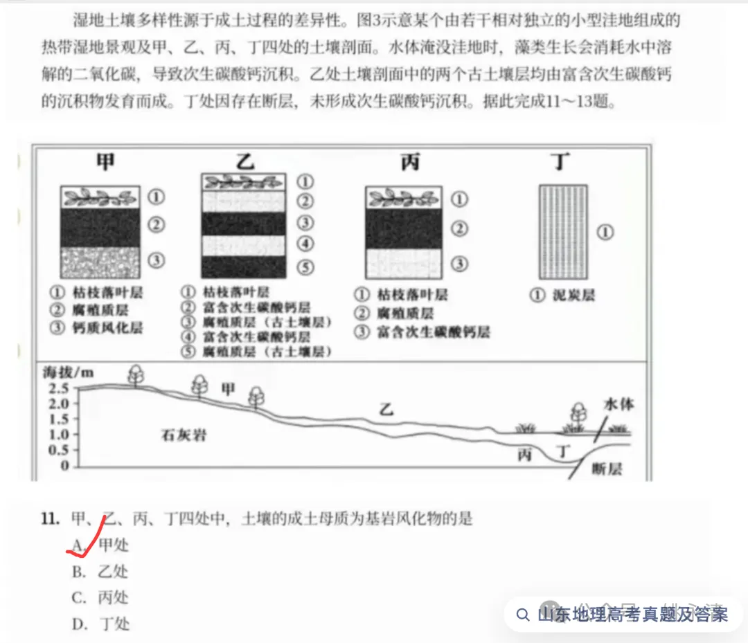 2026年高考地理山东卷选择题真题+官方答案-第9张图片-四季读书网 2026年高考地理山东卷选择题真题+官方答案-第9张图片-四季读书网