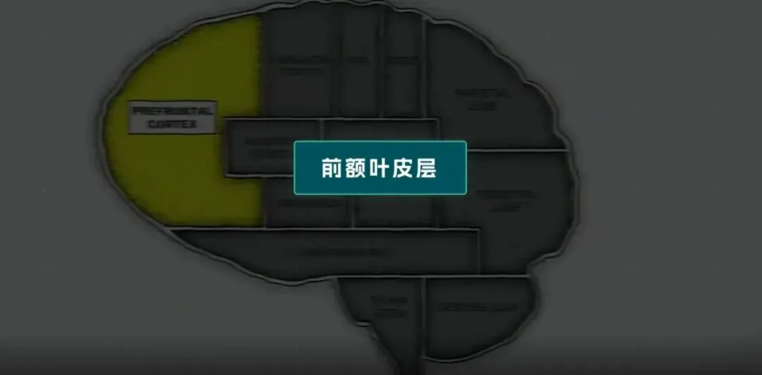 别再自我安慰了!中考分流不是玩笑,考不上高中,孩子输掉的远不止学历-第3张图片-四季读书网 别再自我安慰了!中考分流不是玩笑,考不上高中,孩子输掉的远不止学历-第3张图片-四季读书网
