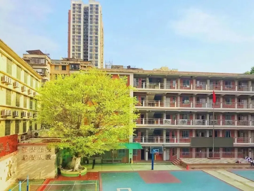 【中考志愿填报】广州市贸易职业高级中学(附2026年招生简章、学校环境)-第6张图片-四季读书网 【中考志愿填报】广州市贸易职业高级中学(附2026年招生简章、学校环境)-第6张图片-四季读书网