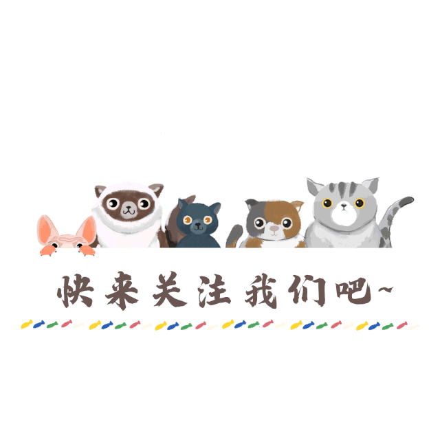 2026中考 | 文殊加持!学子们,加油!-第7张图片-四季读书网 2026中考 | 文殊加持!学子们,加油!-第7张图片-四季读书网