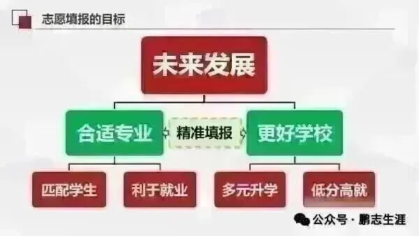 2026年高考全国2卷英语高考真题及参考解析持续更新中....-第21张图片-四季读书网