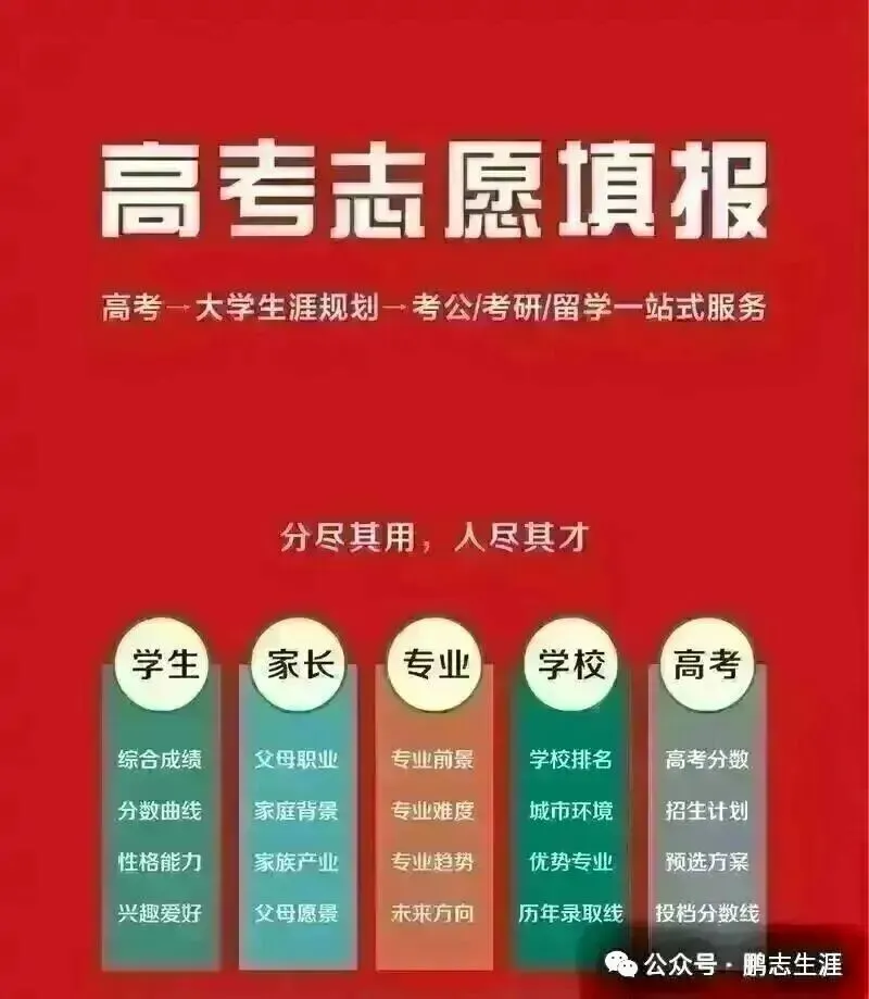 2026年高考全国2卷英语高考真题及参考解析持续更新中....-第23张图片-四季读书网