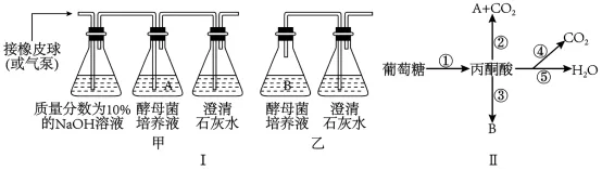 2026年广东省高中生物学业水平合格性考试试题模拟试题和详解(一)(附word下载) ⊙-第10张图片-四季读书网 2026年广东省高中生物学业水平合格性考试试题模拟试题和详解(一)(附word下载) ⊙-第10张图片-四季读书网