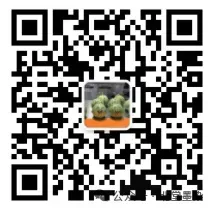 2026年【高考】化学全国各省真题+答案汇总 (考生回忆版)-第1张图片-四季读书网