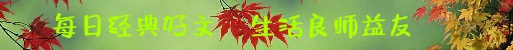 中国高考史上唯一一起试卷被盗案-第1张图片-四季读书网 中国高考史上唯一一起试卷被盗案-第1张图片-四季读书网