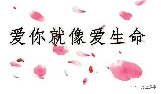 让学生一看就懂的中考考场作文应对技巧与策略-第3张图片-四季读书网 让学生一看就懂的中考考场作文应对技巧与策略-第3张图片-四季读书网