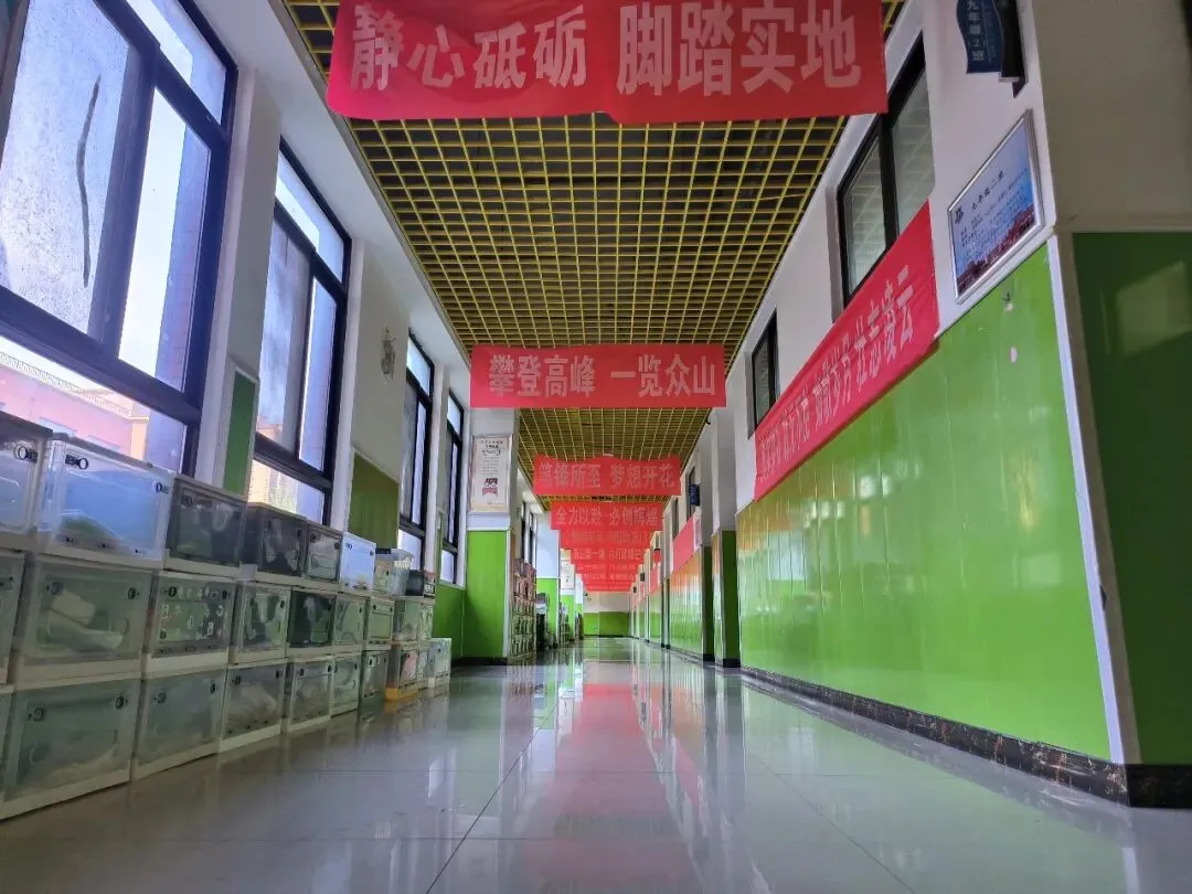【天润|中考】怀揣热爱奔赴考场,愿所有考生旗开得胜-第28张图片-四季读书网 【天润|中考】怀揣热爱奔赴考场,愿所有考生旗开得胜-第28张图片-四季读书网