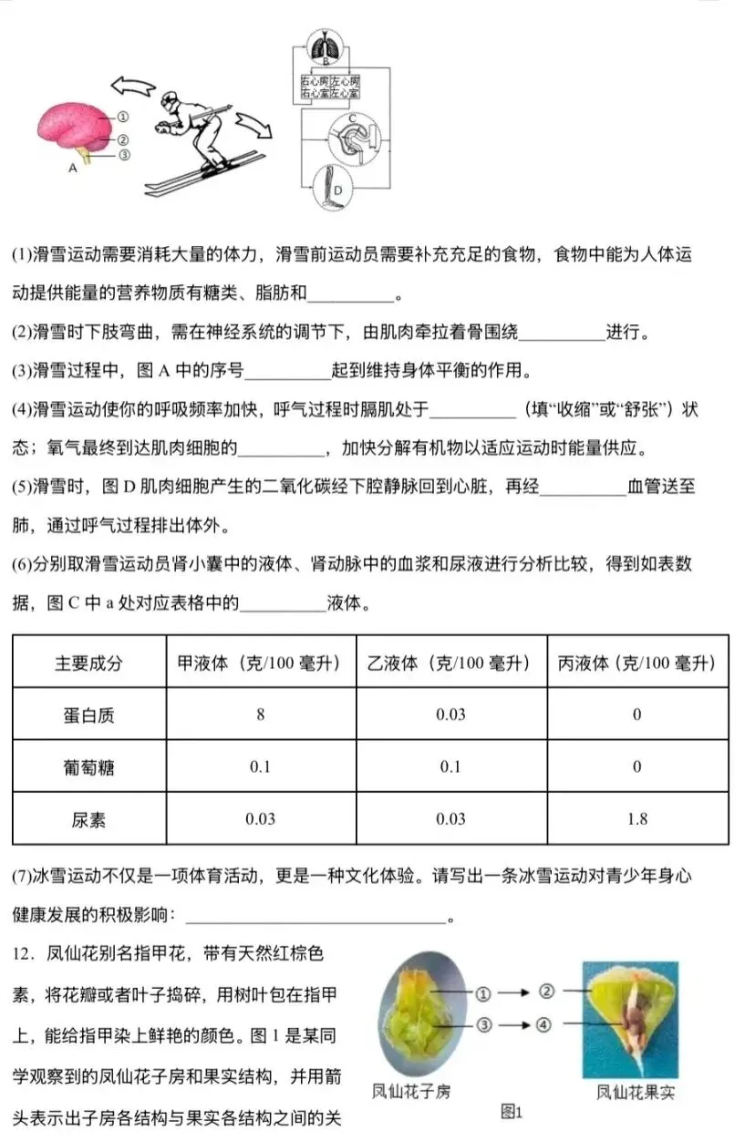 模拟试卷:2026年中考生物模拟试卷|参考答案-第5张图片-四季读书网