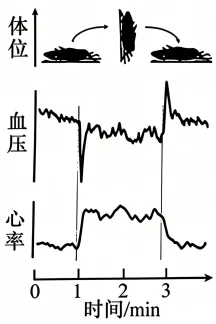 【高考真题】2026年安徽省普通高中学业水平选择性考生物学试题及详细解析-第2张图片-四季读书网