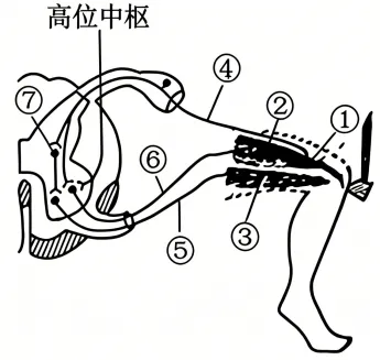 【高考真题】2026年安徽省普通高中学业水平选择性考生物学试题及详细解析-第3张图片-四季读书网