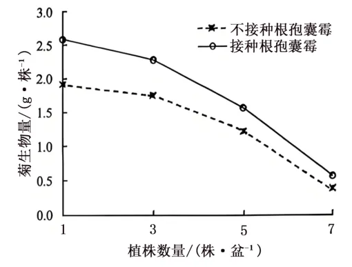 【高考真题】2026年安徽省普通高中学业水平选择性考生物学试题及详细解析-第9张图片-四季读书网