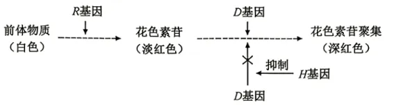 【高考真题】2026年安徽省普通高中学业水平选择性考生物学试题及详细解析-第11张图片-四季读书网
