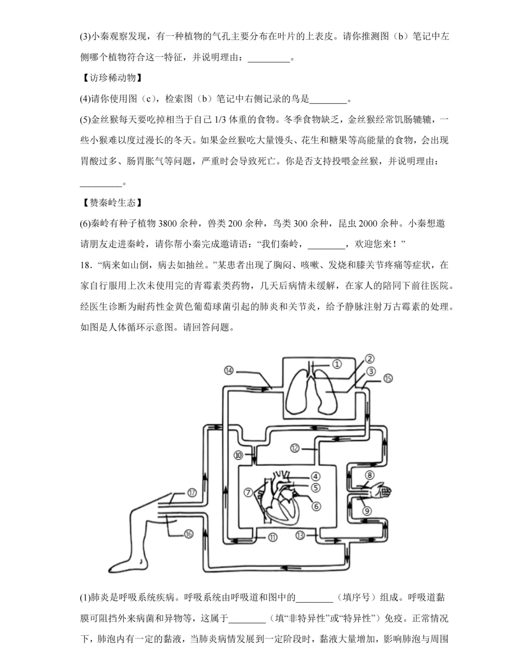 【中考真题】2025年陕西省中考生物、地理真题试卷,2026参考-第7张图片-四季读书网 【中考真题】2025年陕西省中考生物、地理真题试卷,2026参考-第7张图片-四季读书网