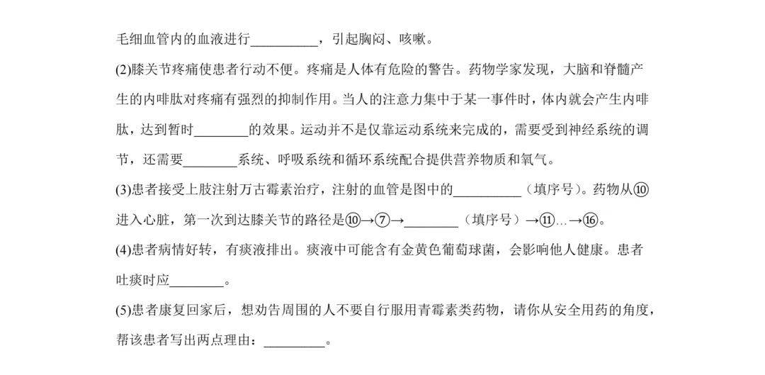 【中考真题】2025年陕西省中考生物、地理真题试卷,2026参考-第8张图片-四季读书网 【中考真题】2025年陕西省中考生物、地理真题试卷,2026参考-第8张图片-四季读书网