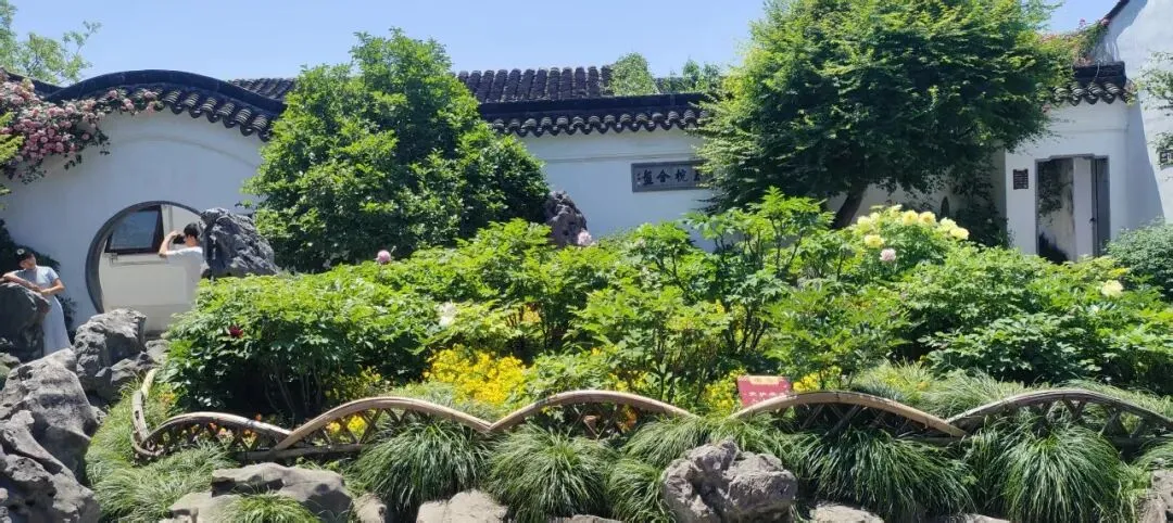 中考历史小论文分类整理复习示例-第1张图片-四季读书网