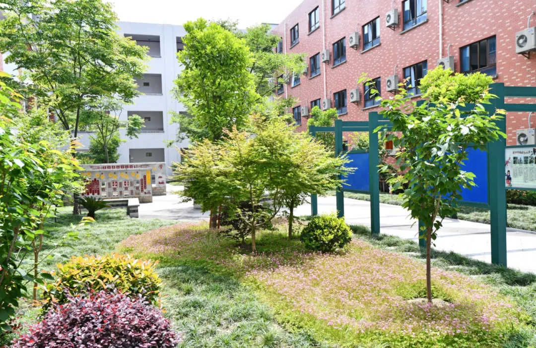 中考失利不必认输,选择吴江青云实验初中盛湖学校复读,实现学业完美弯道超车-第4张图片-四季读书网