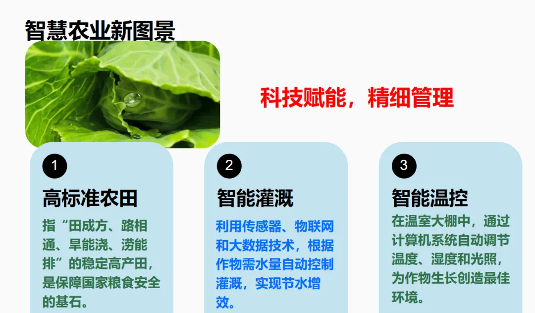 初中生地会考冲刺:那些藏在试卷里的“新词热词”-第9张图片-四季读书网