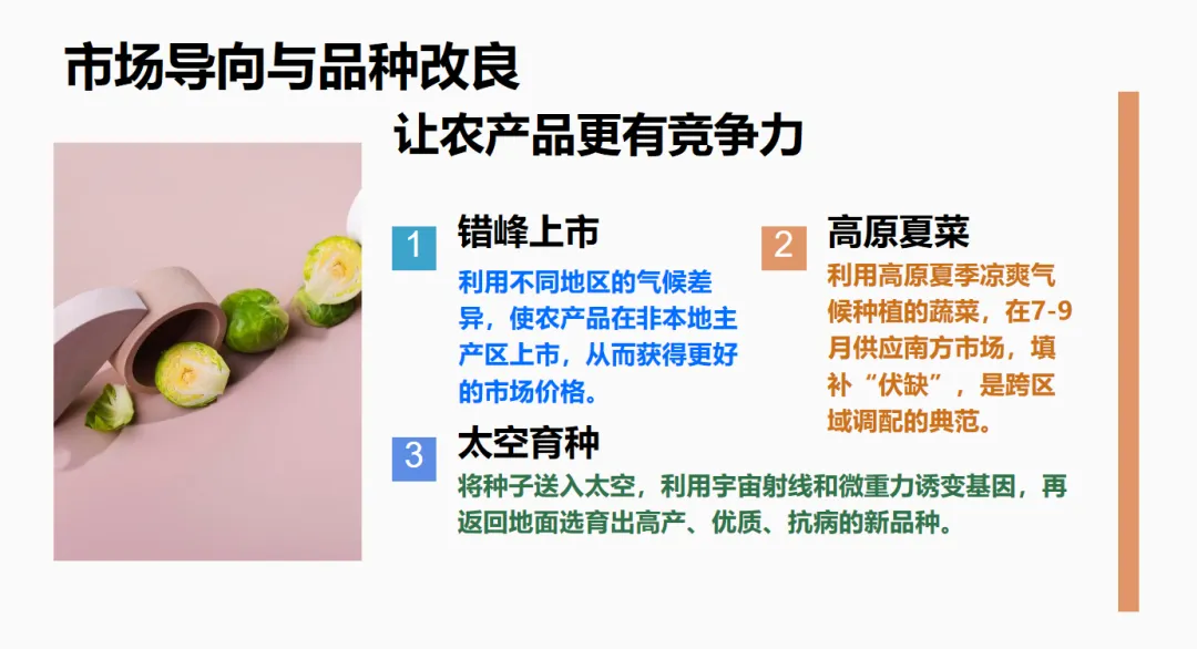 初中生地会考冲刺:那些藏在试卷里的“新词热词”-第10张图片-四季读书网