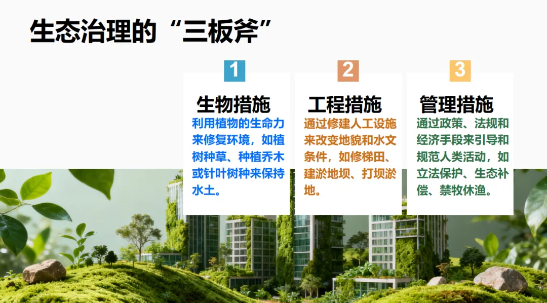 初中生地会考冲刺:那些藏在试卷里的“新词热词”-第11张图片-四季读书网