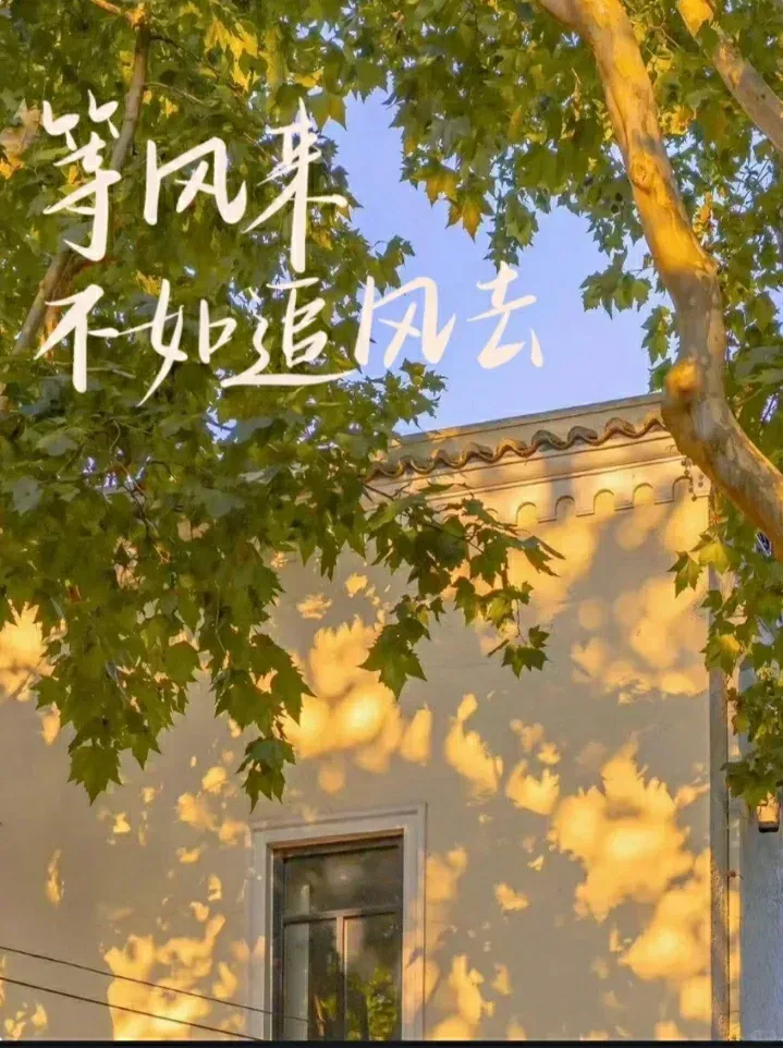 中考倒计时9天,时光自会回馈我的努力 !-第3张图片-四季读书网 中考倒计时9天,时光自会回馈我的努力 !-第3张图片-四季读书网