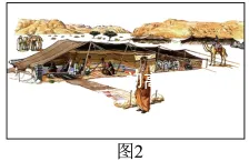 中考地理热点易错必刷选择50题!!!-第16张图片-四季读书网