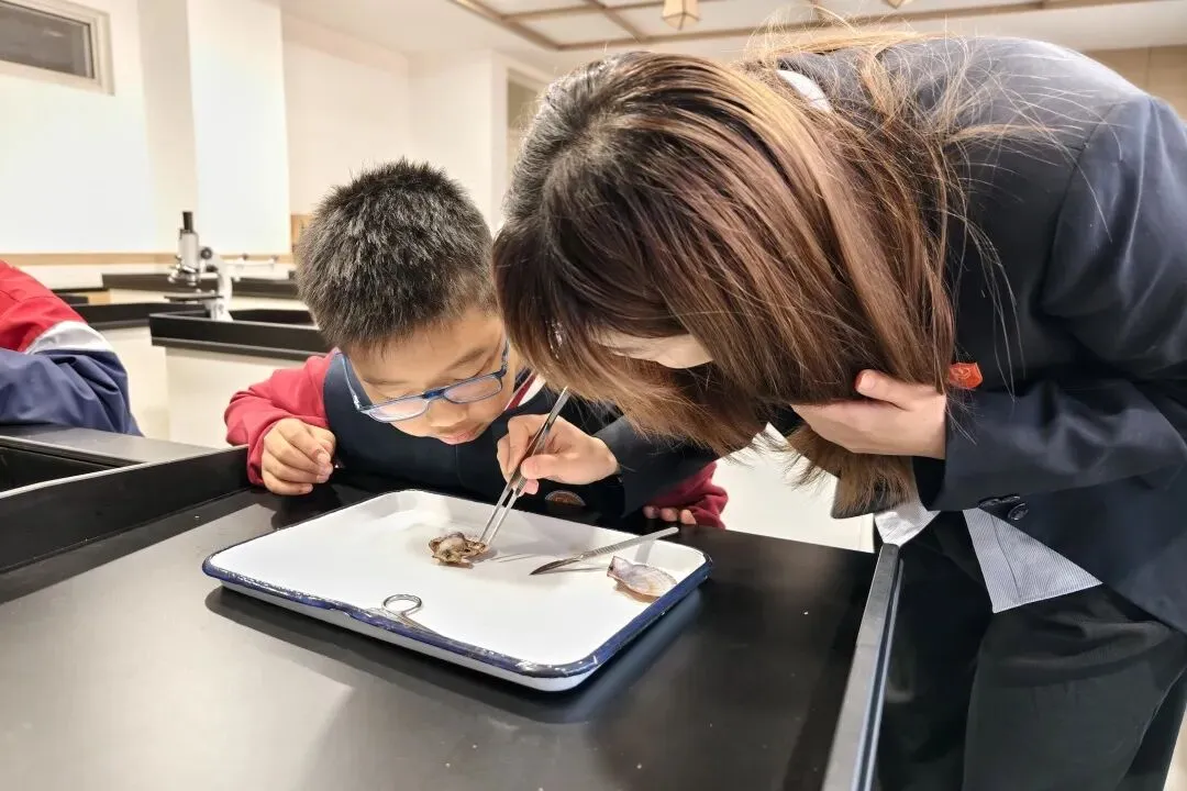 应届 + 复读同步启动|中考优生奖 + 高考奖学金,综合最高80万!-第54张图片-四季读书网