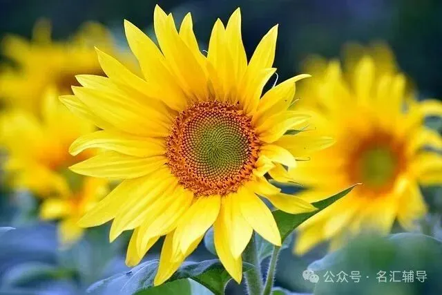 中考考前及考试期间注意事项-第2张图片-四季读书网 中考考前及考试期间注意事项-第2张图片-四季读书网