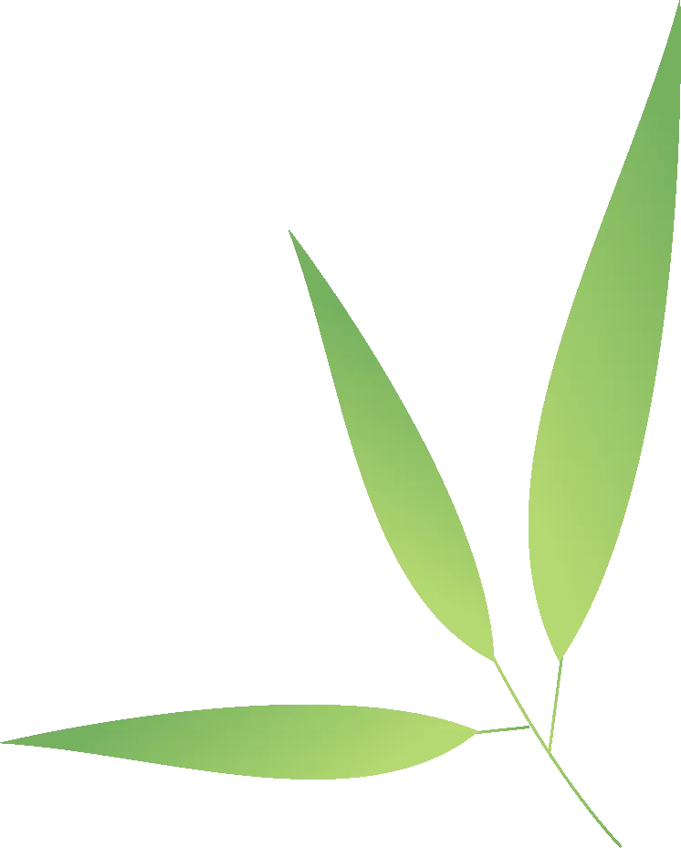 端午遇中考 少年加油啊-第40张图片-四季读书网 端午遇中考 少年加油啊-第40张图片-四季读书网