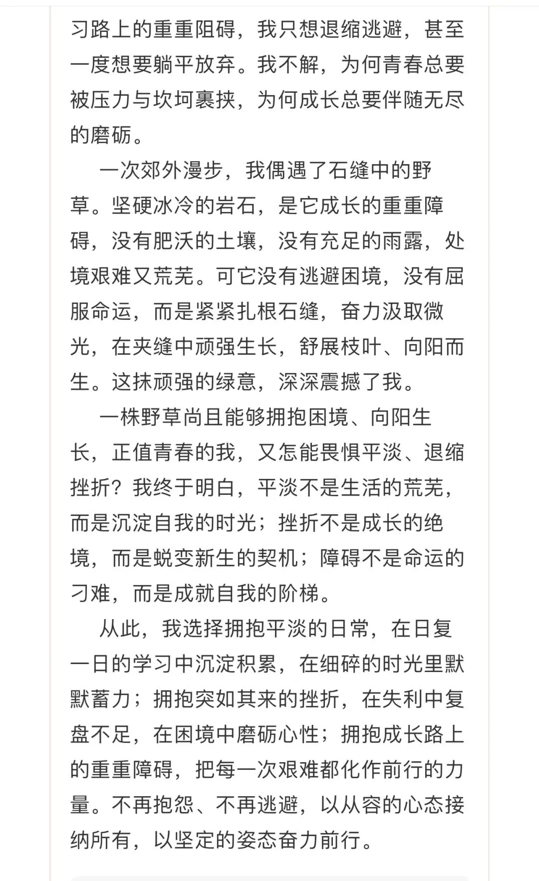 中考作文范文3篇(三)-第13张图片-四季读书网