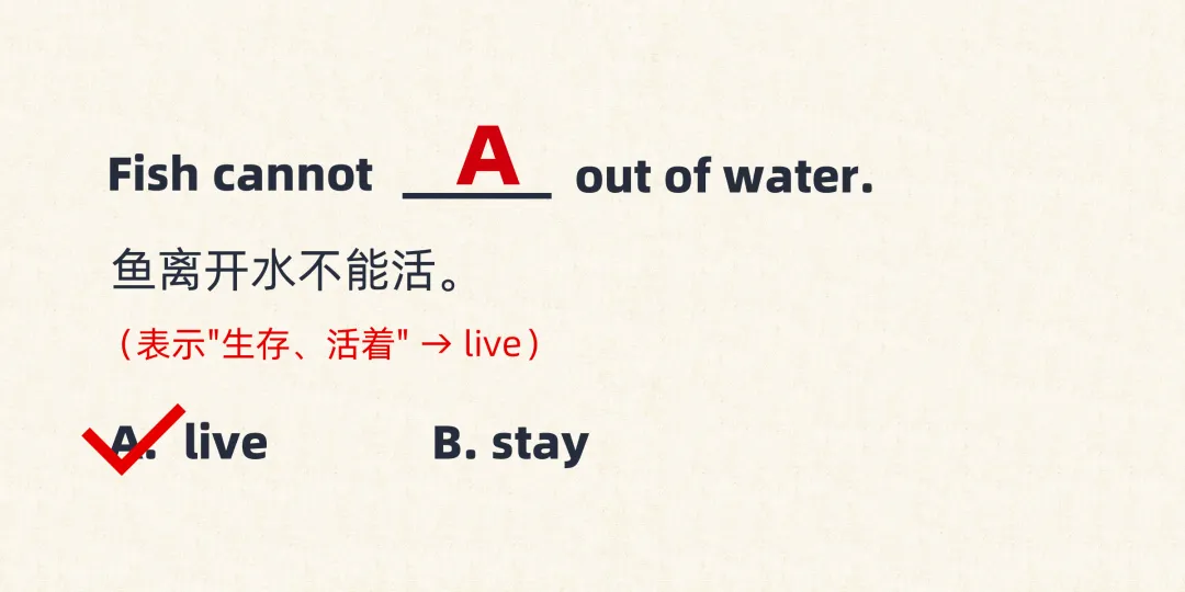 中考英语完形填空高频陷阱:live 和 stay 都是"住",90%学生选错!-第2张图片-四季读书网 中考英语完形填空高频陷阱:live 和 stay 都是"住",90%学生选错!-第2张图片-四季读书网